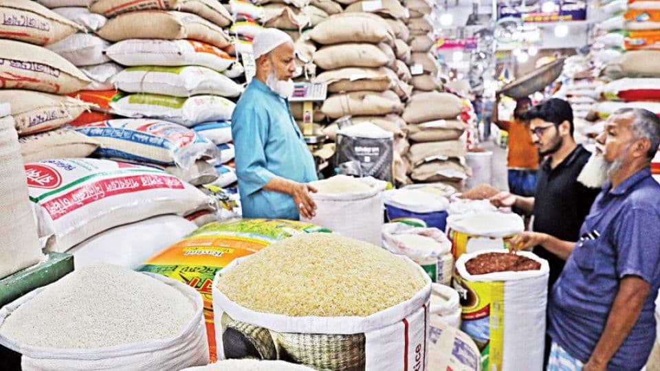 Rice Trading Business